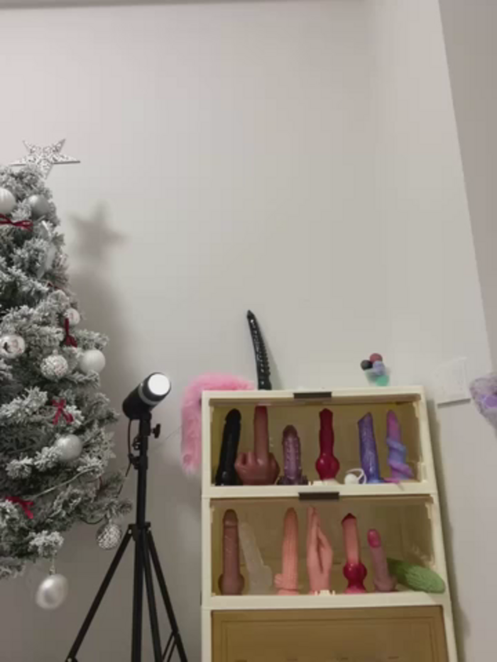 xyebobs