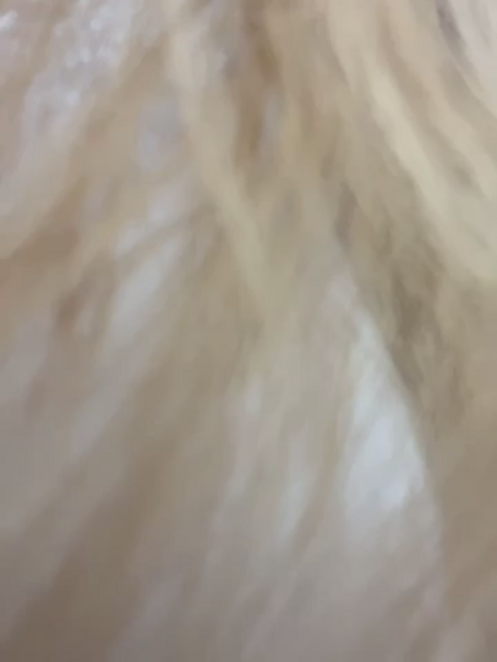 AmmyHot