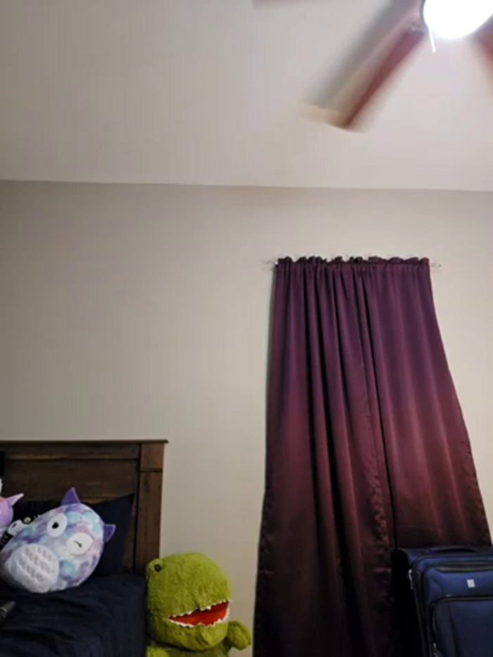 AmethystFoxx