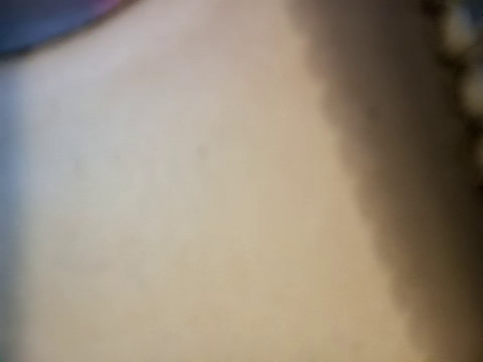 BaileyZelda