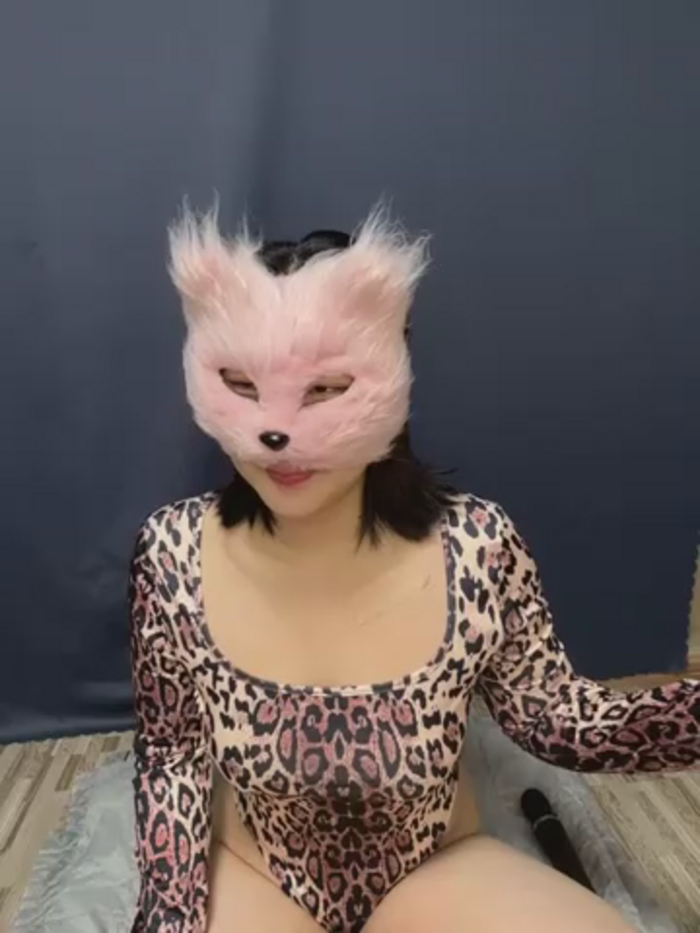 Kor_Cat