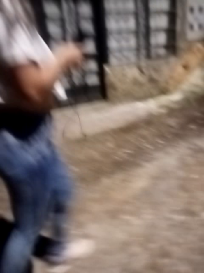Jabibicol