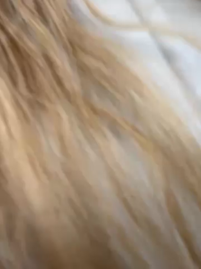 AmmyHot