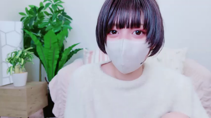 cohaku_329