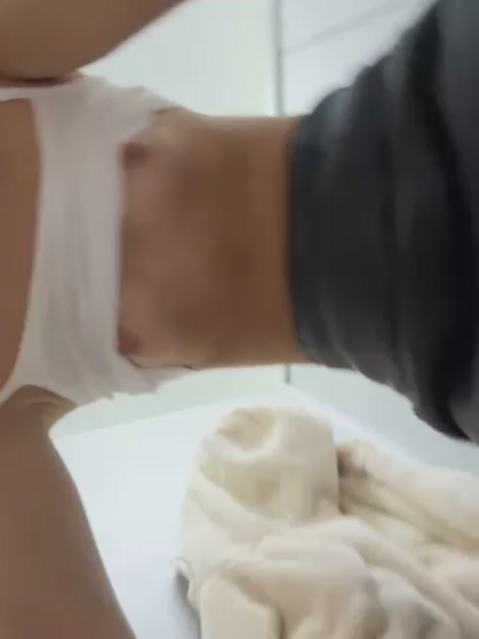 SSSATIVA_model
