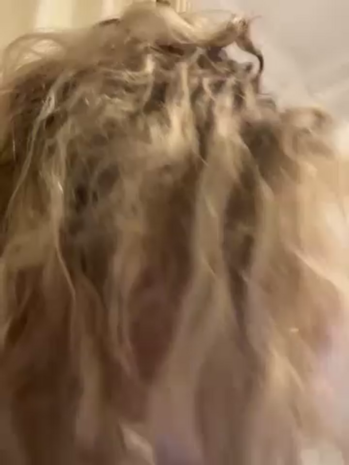 melissa_grr