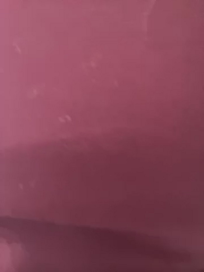 alana15