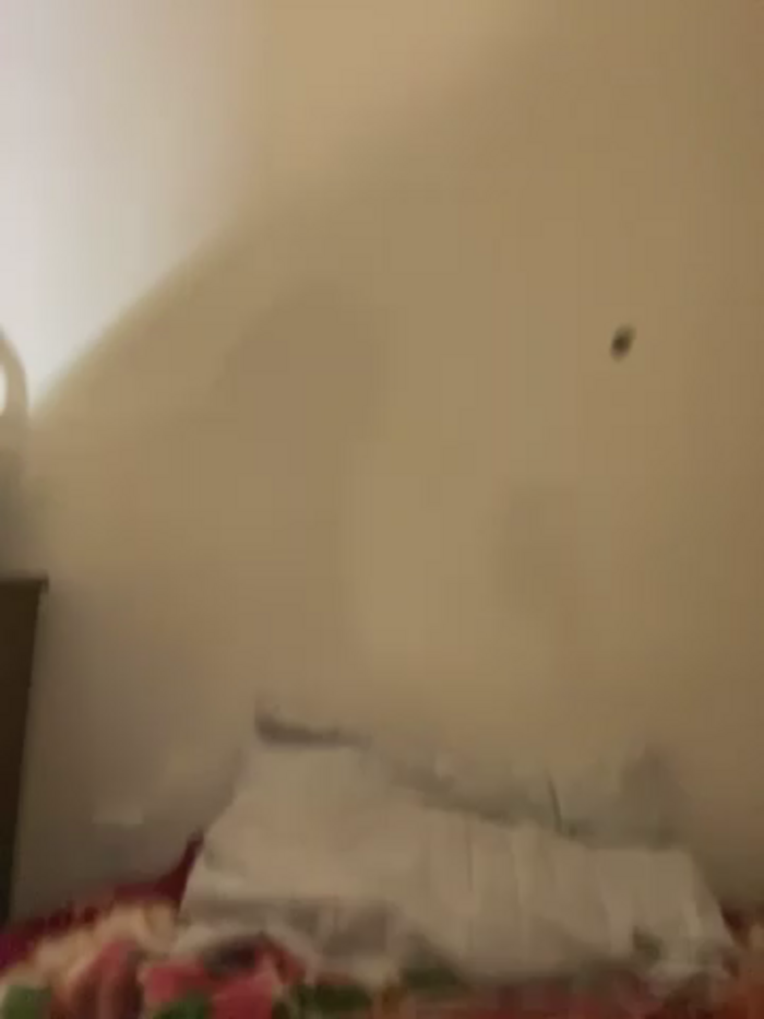 BustiBunny69