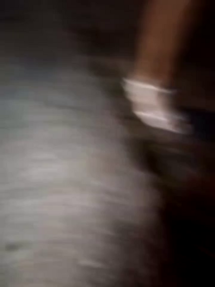 Jabibicol
