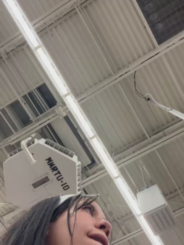 Bigbuttbrooklynn