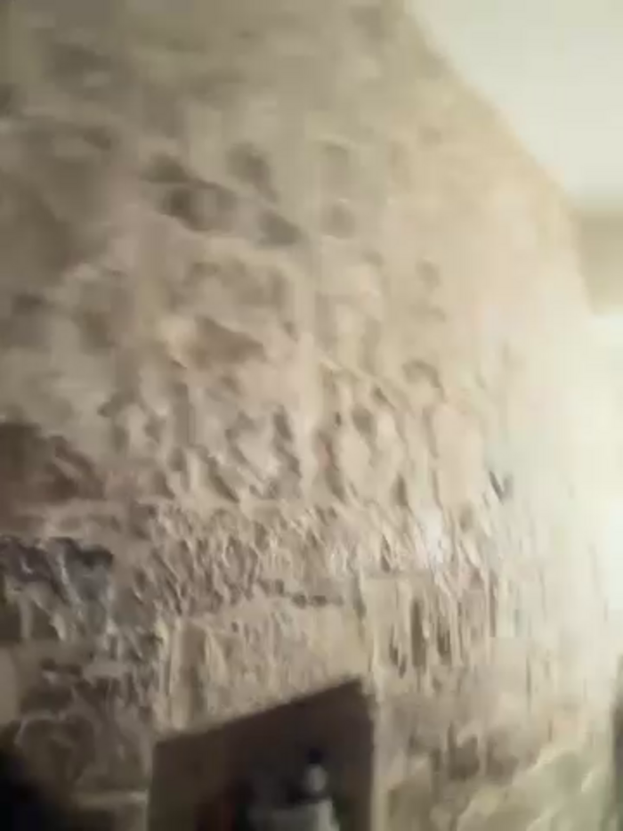 SempreDonatella