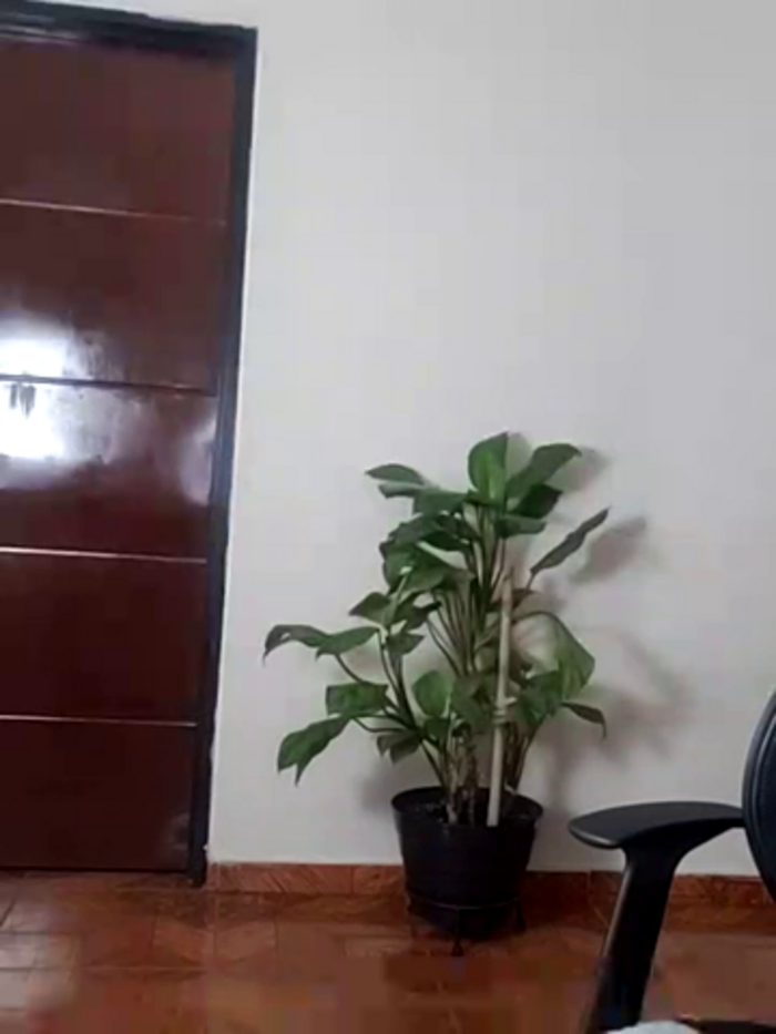 AliciaMiilf