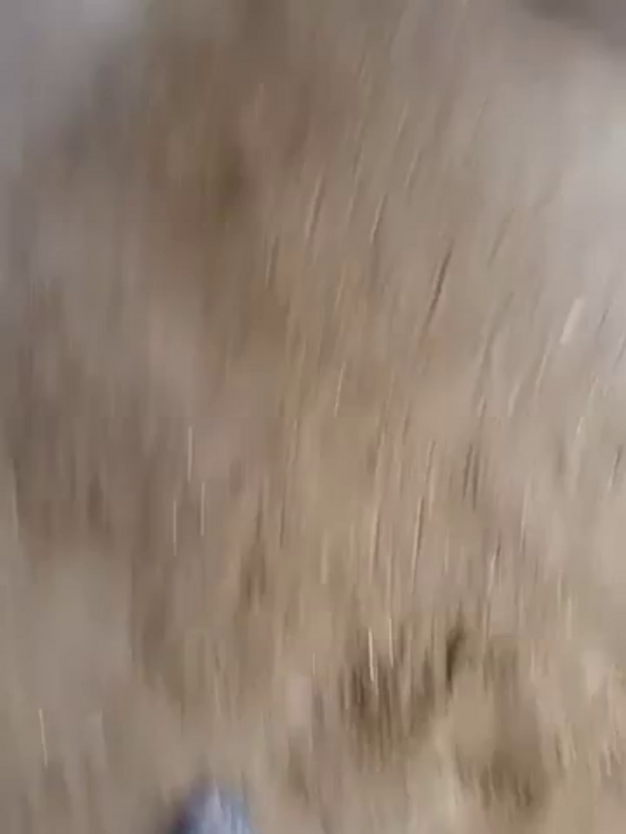 Indiankanak