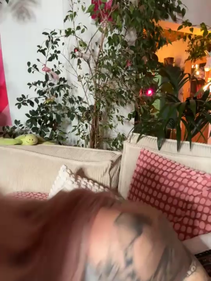 Stella-Kink