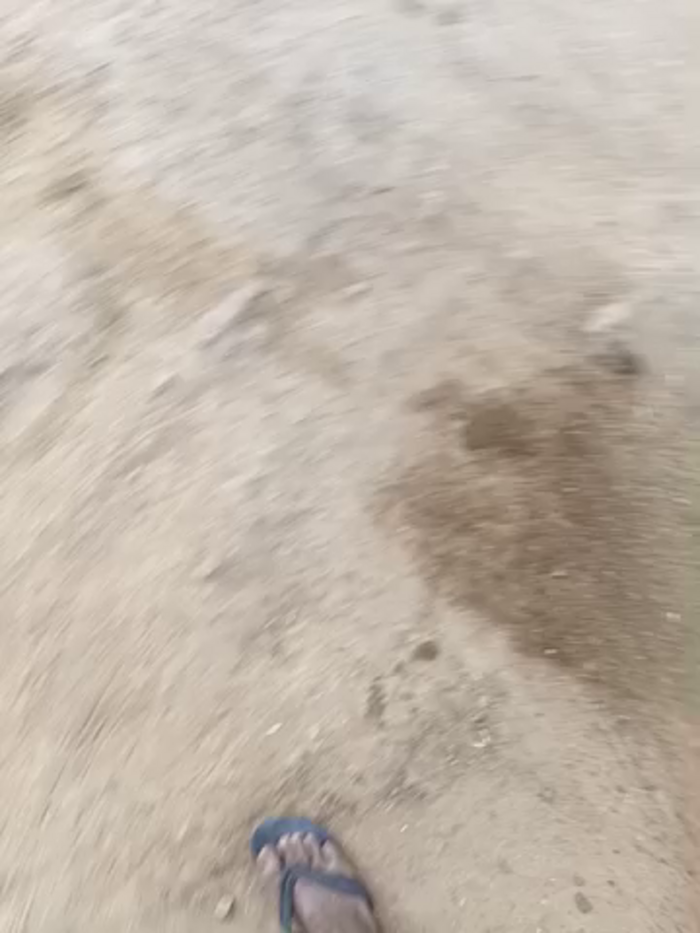 Indiankanak