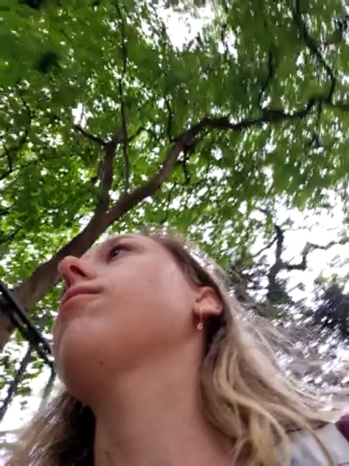 Public_Katrisha