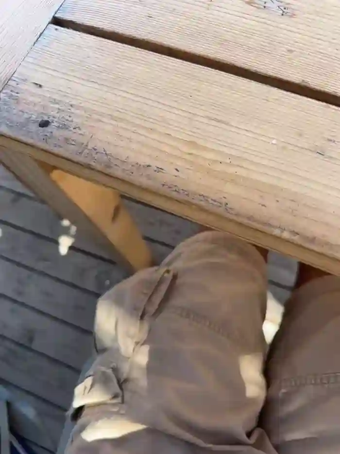 2025/03/12/stripchat-therealbeverlycious-11-55-33