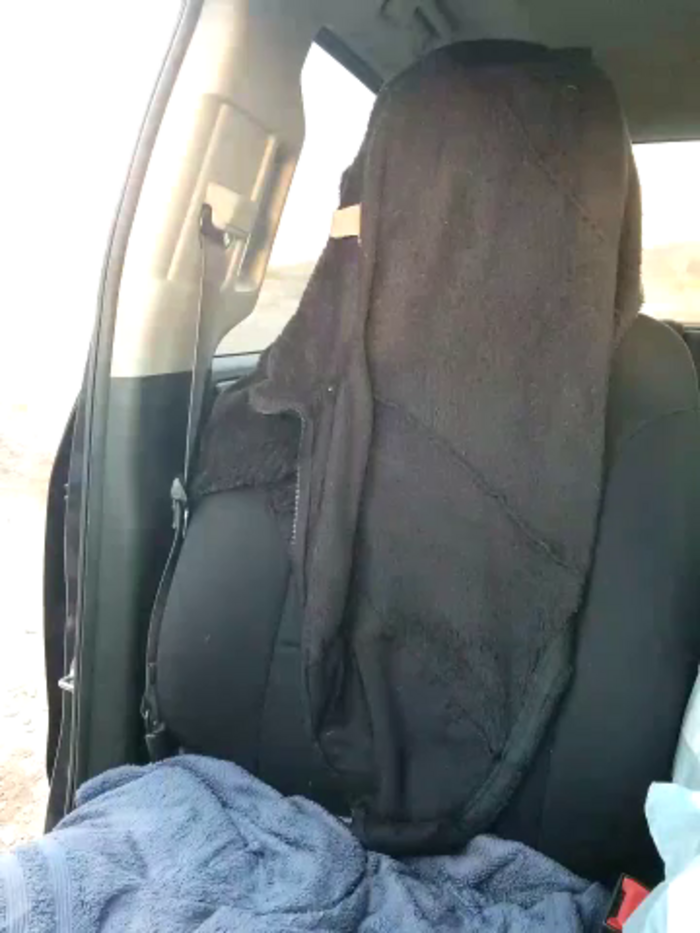 SheIsSomething