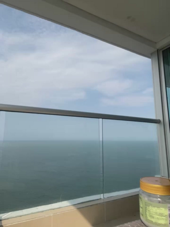 Gerallima_1