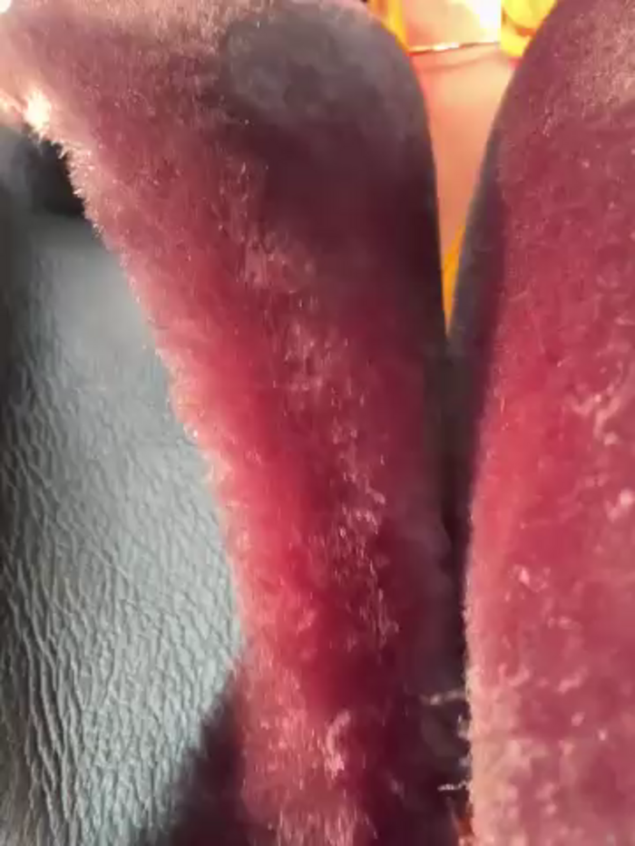 AndreaMood