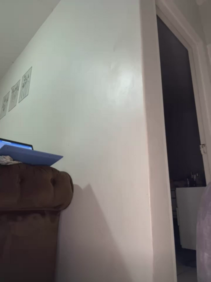 StupidNaturalPhatBooty_
