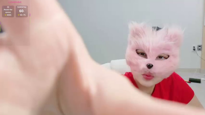 Kor_Cat