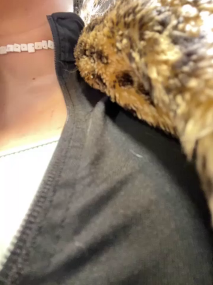 SuzieMurray