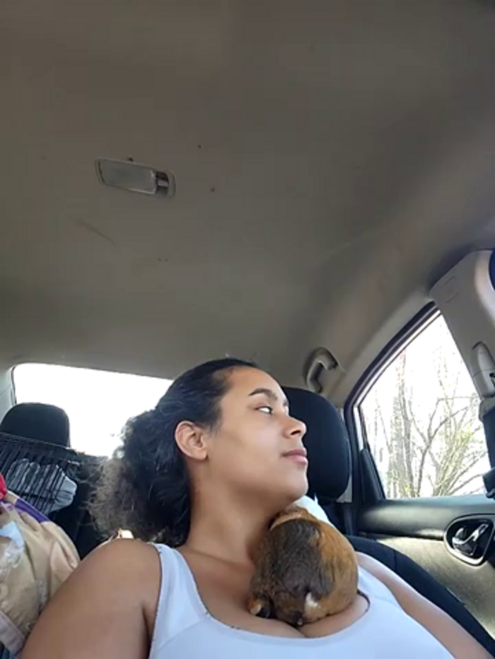 cinnaminnie