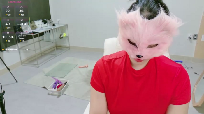 Kor_Cat