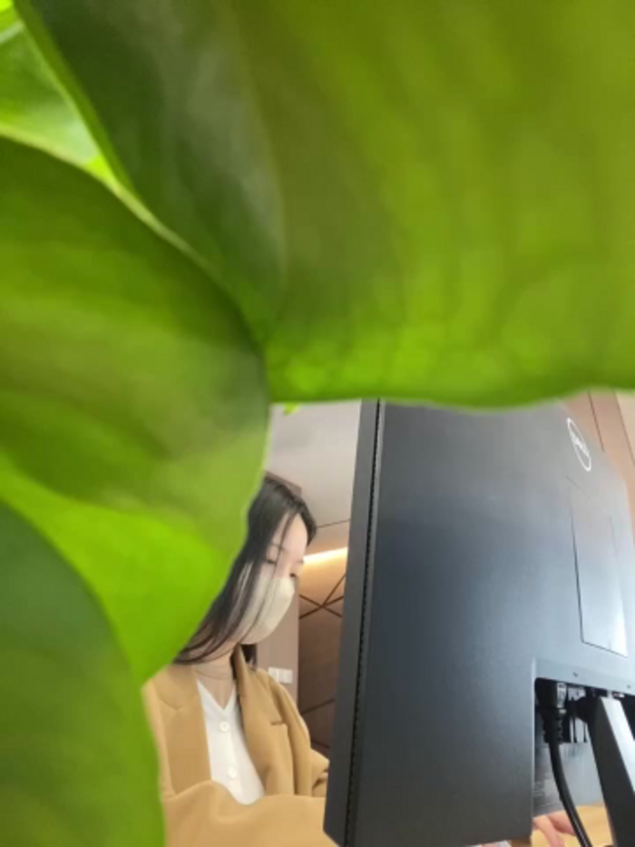Claire_xixi1