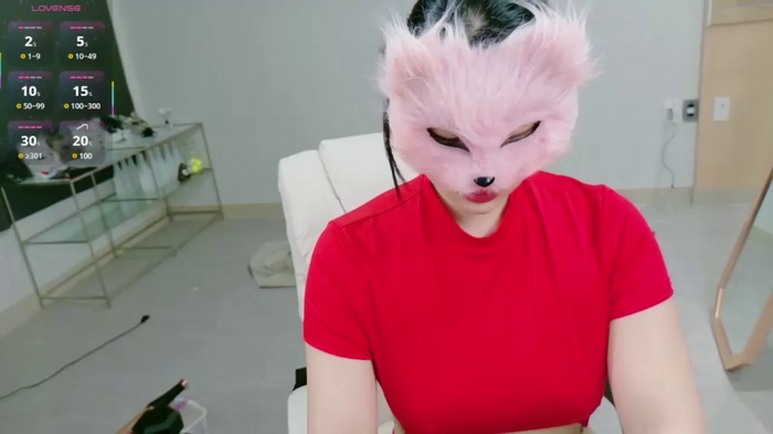 Kor_Cat