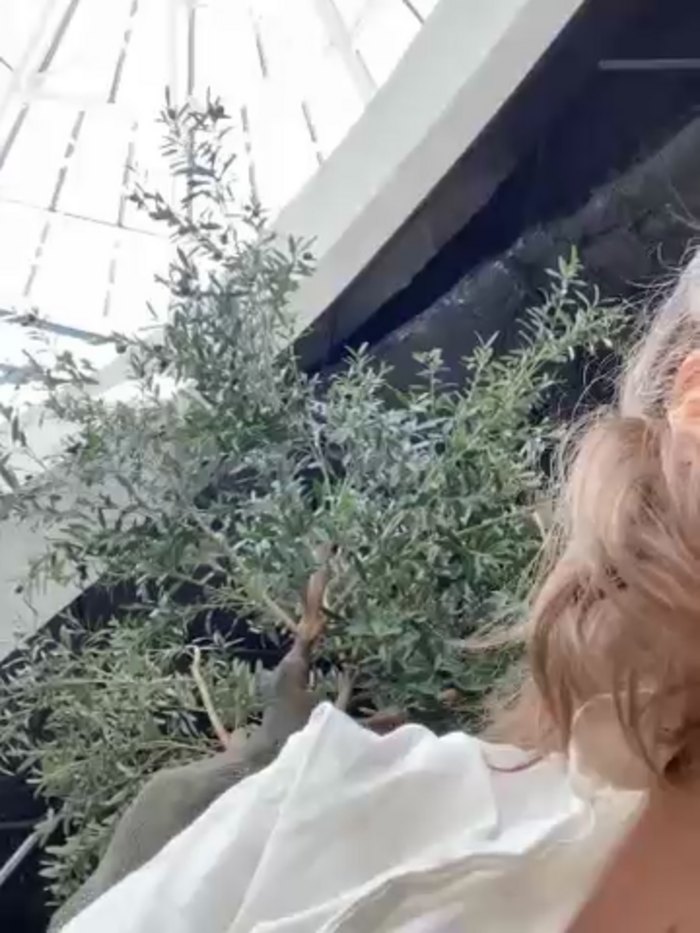 SuzieMurray