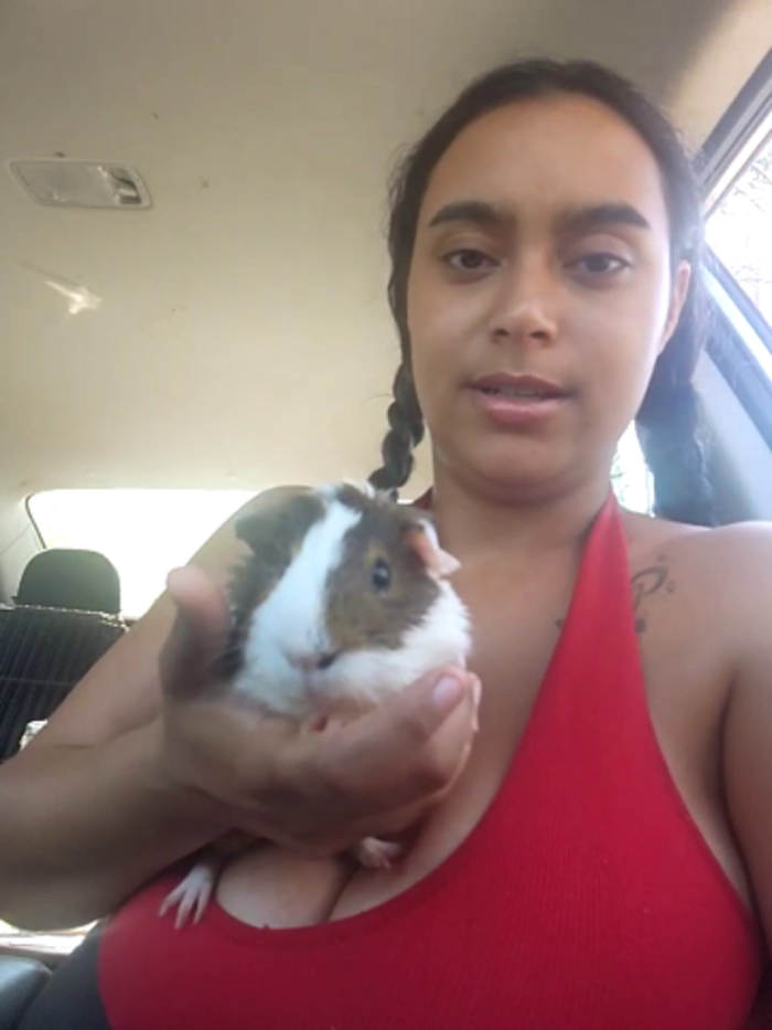 cinnaminnie