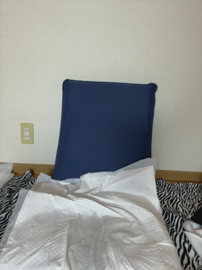 ramu__jp