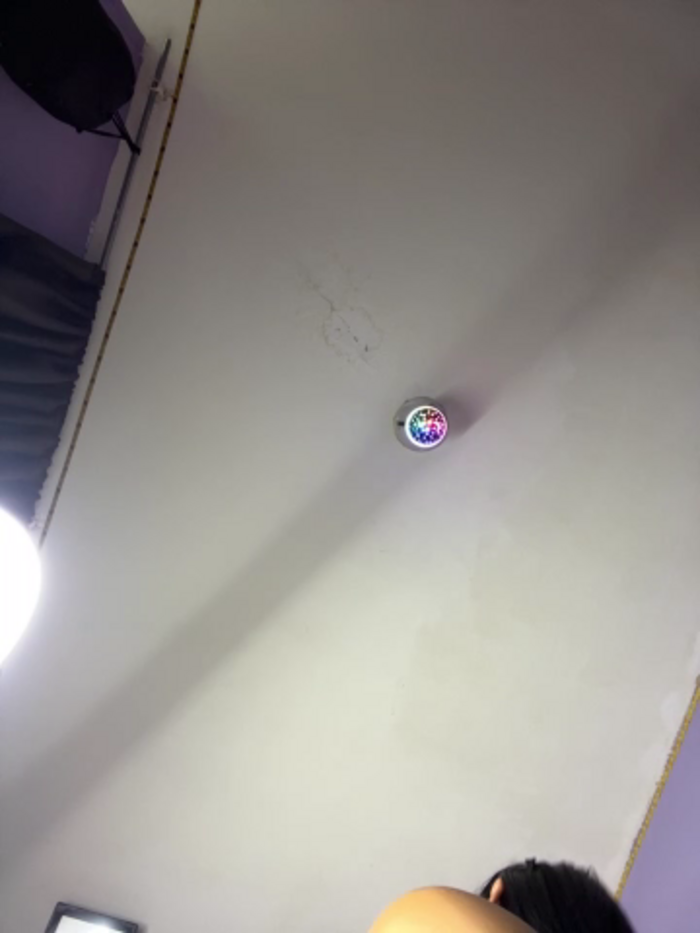charlotte_stevenss_