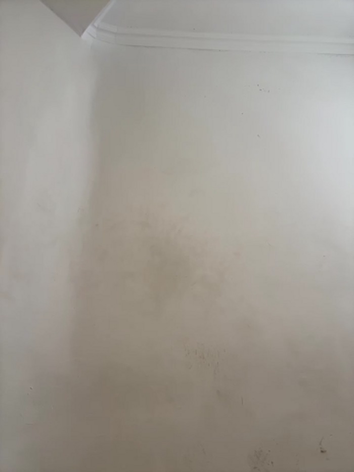 mint_melissaaa