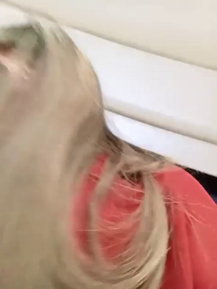 emma_tour