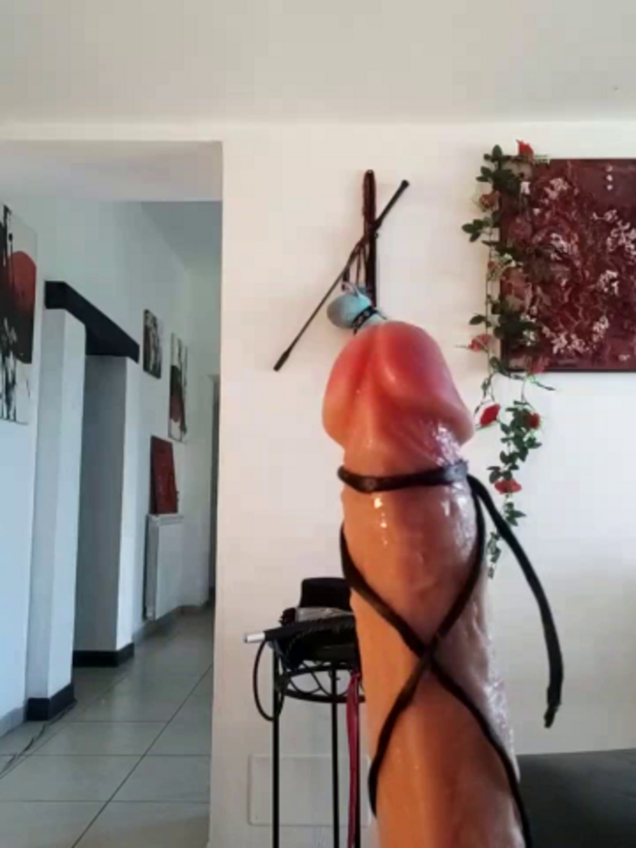 freyamoret