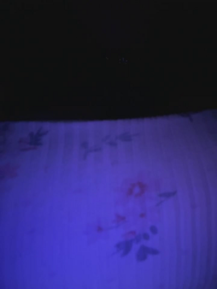 Rae_Lil_White