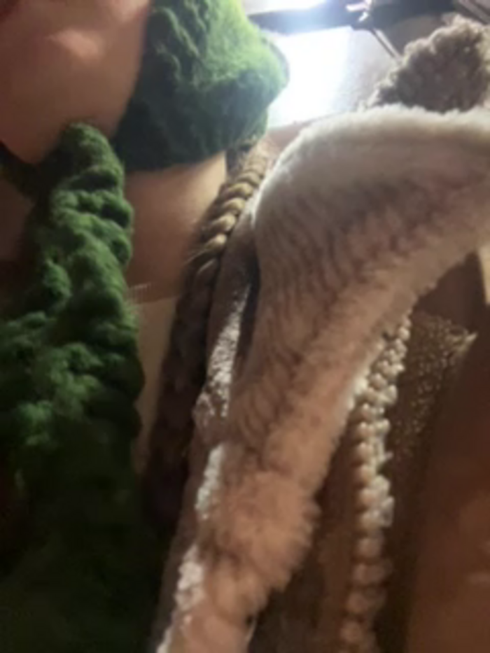 bambi_lu