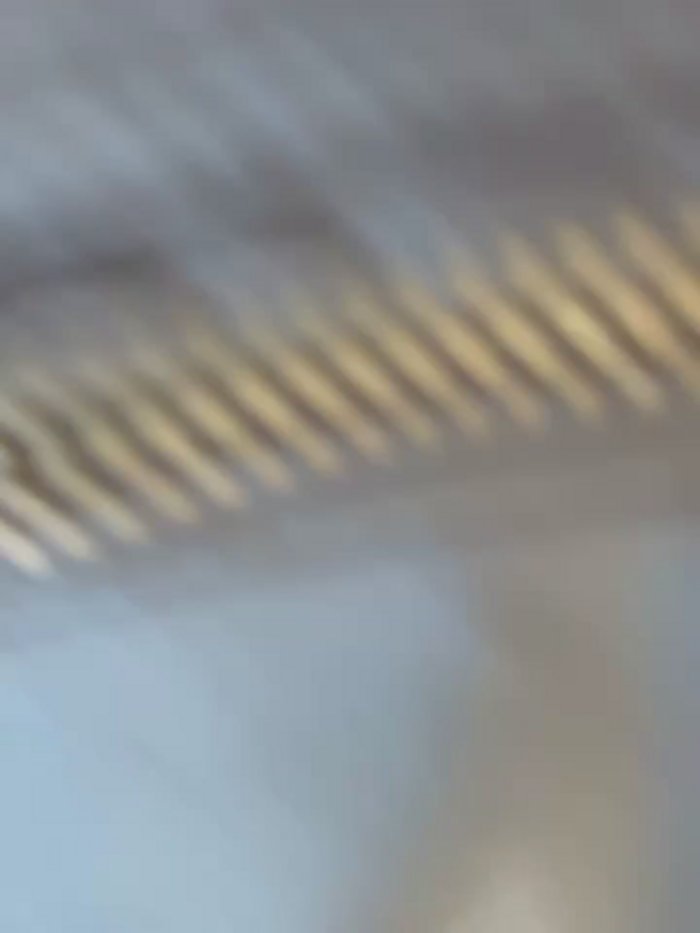 AngelinaTeller