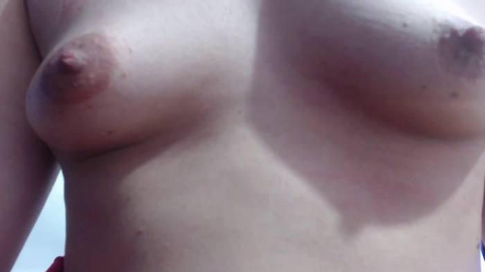 barbie_brunette