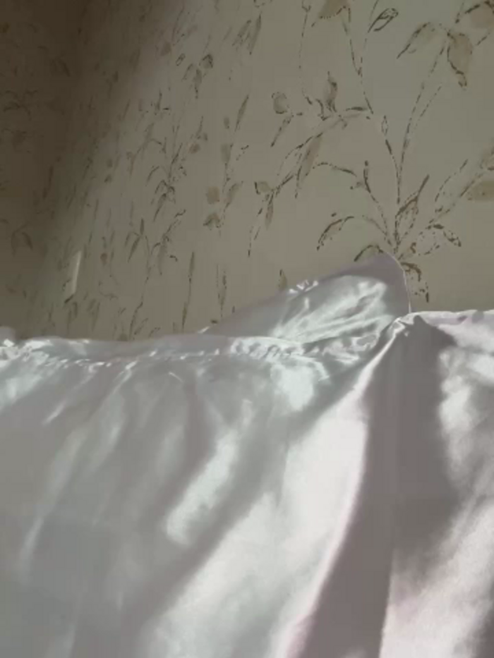 CuteeRose