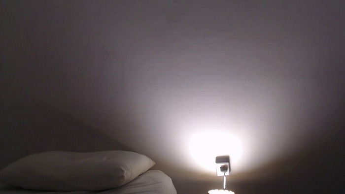 Lycalosex_