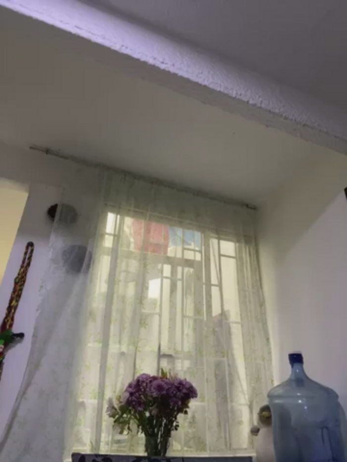 charlotte_stevenss_