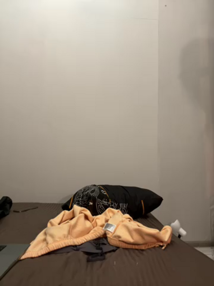 saint_cat25