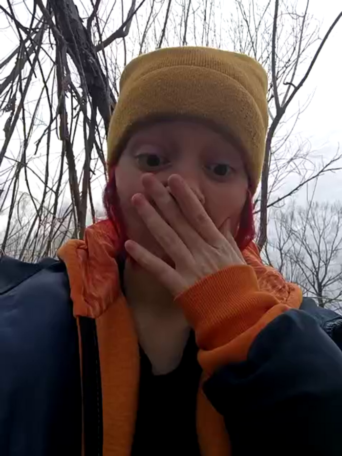 Noka_Foxy