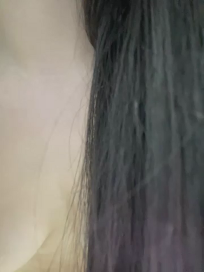 xyebobs