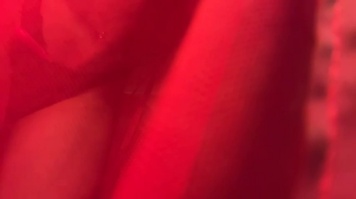 ORLA86