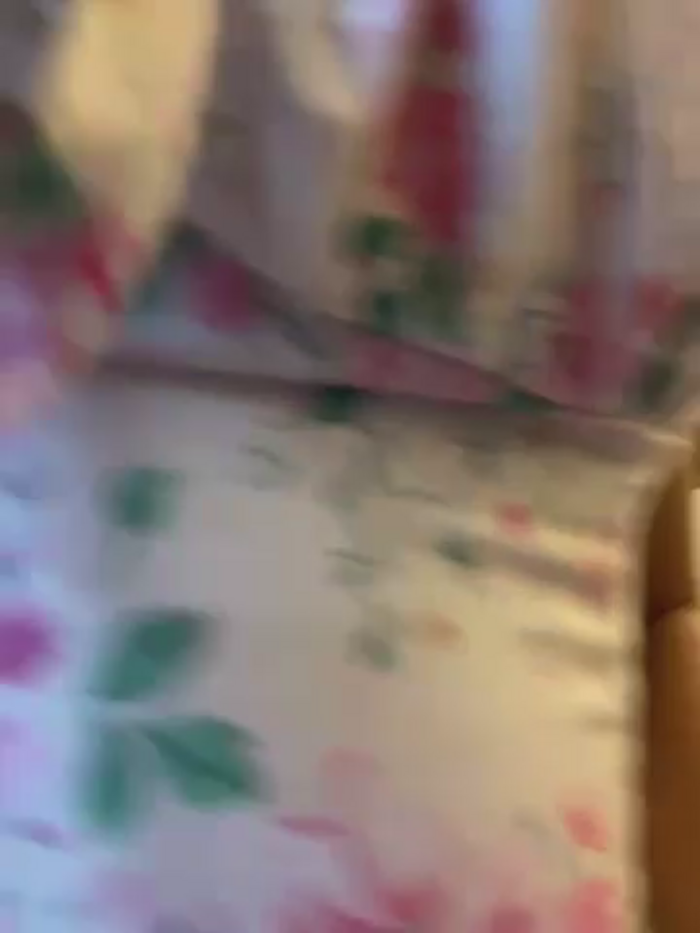 alana15